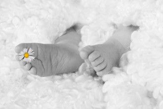 Bild: eva_hilger_fotodesign_baby_fotografie_dsc_3052b.jpg